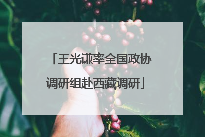 王光谦率全国政协调研组赴西藏调研