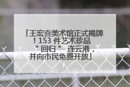 王宏喜美术馆正式揭牌！153 件艺术珍品 “ 回归 ” 连云港，并向市民免费开放