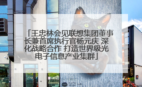 王忠林会见联想集团董事长兼首席执行官杨元庆 深化战略合作 打造世界级光电子信息产业集群
