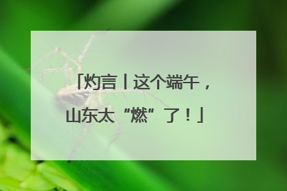 灼言丨这个端午，山东太“燃”了！