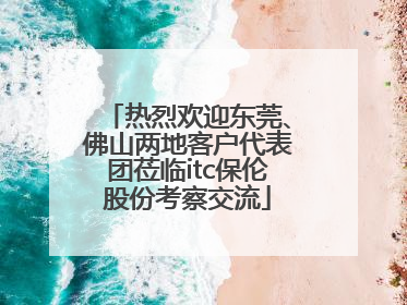 热烈欢迎东莞、佛山两地客户代表团莅临itc保伦股份考察交流