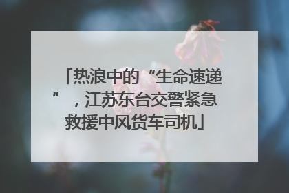 热浪中的“生命速递”，江苏东台交警紧急救援中风货车司机