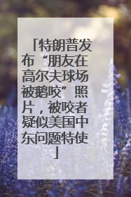 特朗普发布“朋友在高尔夫球场被鹅咬”照片，被咬者疑似美国中东问题特使
