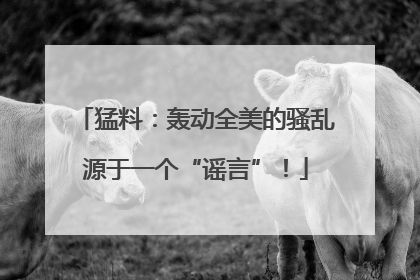 猛料：轰动全美的骚乱源于一个“谣言”！