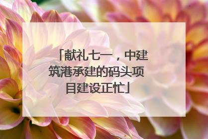 献礼七一，中建筑港承建的码头项目建设正忙