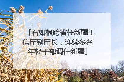 石如根跨省任新疆工信厅副厅长，连续多名年轻干部调任新疆