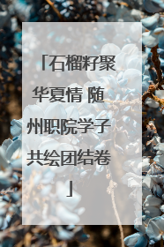 石榴籽聚华夏情 随州职院学子共绘团结卷