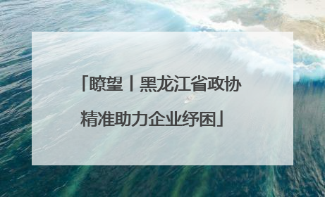 瞭望丨黑龙江省政协精准助力企业纾困