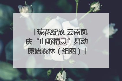 琼花绽放 云南凤庆“山野精灵”舞动原始森林（组图）
