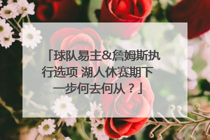 球队易主&詹姆斯执行选项 湖人休赛期下一步何去何从？