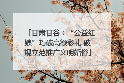 甘肃甘谷：“公益红娘”巧破高额彩礼 破规立范推广文明婚俗