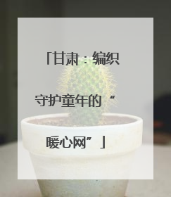 甘肃：编织守护童年的“暖心网”