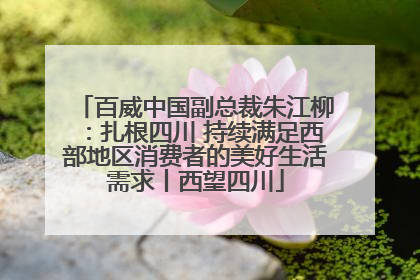百威中国副总裁朱江柳：扎根四川 持续满足西部地区消费者的美好生活需求丨西望四川