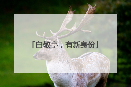 白敬亭，有新身份