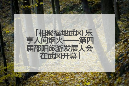相聚福地武冈 乐享人间烟火——第四届邵阳旅游发展大会在武冈开幕