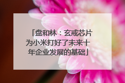 盘和林：玄戒芯片为小米打好了未来十年企业发展的基础