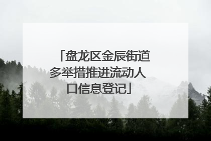 盘龙区金辰街道多举措推进流动人口信息登记