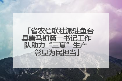 省农信联社派驻鱼台县唐马镇第一书记工作队助力“三夏”生产 彰显为民担当