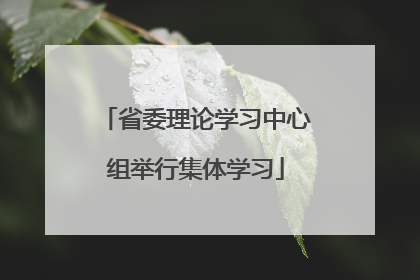 省委理论学习中心组举行集体学习