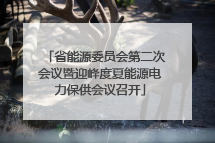 省能源委员会第二次会议暨迎峰度夏能源电力保供会议召开
