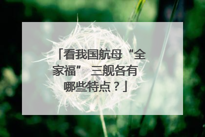 看我国航母“全家福” 三舰各有哪些特点？