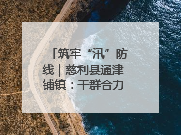 筑牢“汛”防线｜慈利县通津铺镇：干群合力抗击洪灾