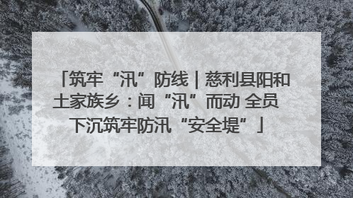 筑牢“汛”防线｜慈利县阳和土家族乡：闻“汛”而动 全员下沉筑牢防汛“安全堤”