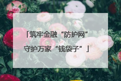 筑牢金融“防护网” 守护万家“钱袋子”
