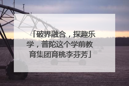 破界融合，探趣乐学，普陀这个学前教育集团育桃李芬芳