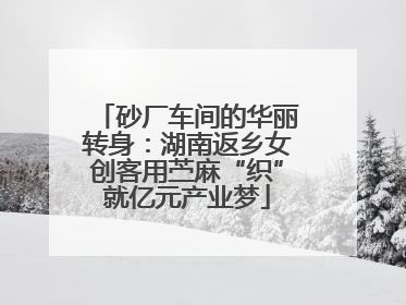 砂厂车间的华丽转身：湖南返乡女创客用苎麻“织”就亿元产业梦