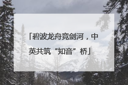 碧波龙舟竞剑河，中英共筑“知音”桥