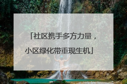 社区携手多方力量，小区绿化带重现生机