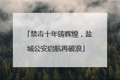 禁毒十年铸辉煌，盐城公安启航再破浪