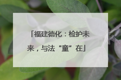 福建德化：检护未来，与法“童”在