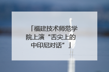 福建技术师范学院上演“舌尖上的中印尼对话”