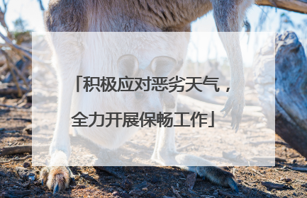 积极应对恶劣天气，全力开展保畅工作