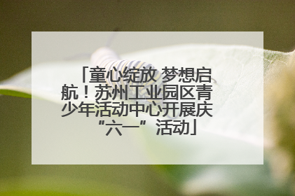 童心绽放 梦想启航！苏州工业园区青少年活动中心开展庆“六一”活动