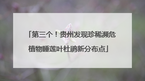 第三个！贵州发现珍稀濒危植物睡莲叶杜鹃新分布点