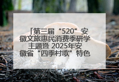 第三届“520”安徽文旅惠民消费季研学主题暨 2025年安徽省“四季村歌”特色展演燃动池州