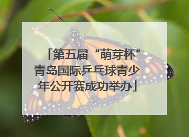 第五届“萌芽杯”青岛国际乒乓球青少年公开赛成功举办