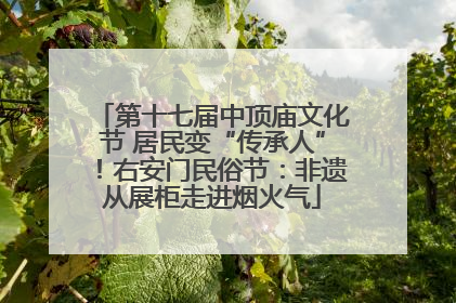 第十七届中顶庙文化节 居民变“传承人”！右安门民俗节：非遗从展柜走进烟火气