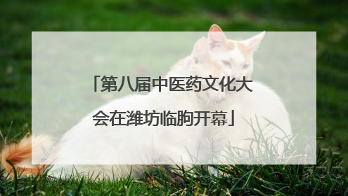第八届中医药文化大会在潍坊临朐开幕