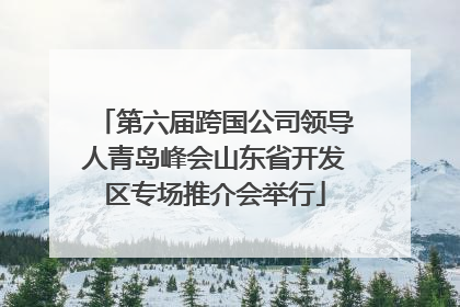 第六届跨国公司领导人青岛峰会山东省开发区专场推介会举行