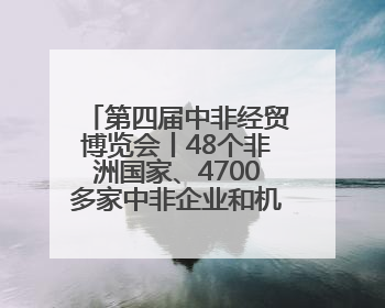 第四届中非经贸博览会丨48个非洲国家、4700多家中非企业和机构将参会