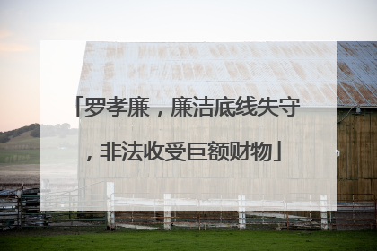 罗孝廉，廉洁底线失守，非法收受巨额财物
