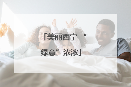 美丽西宁 “绿意”浓浓