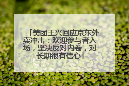 美团王兴回应京东外卖冲击：欢迎参与者入场，坚决反对内卷，对长期很有信心