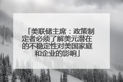 美联储主席：政策制定者必须了解美元潜在的不稳定性对美国家庭和企业的影响