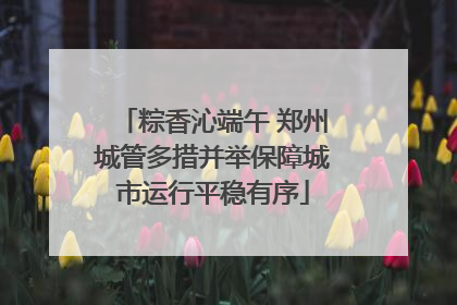 粽香沁端午 郑州城管多措并举保障城市运行平稳有序