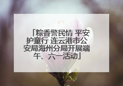 粽香警民情 平安护童行 连云港市公安局海州分局开展端午、六一活动